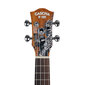 Tenor ukulele Cascha Art Sketch HH 2609 hind ja info | Kitarrid | kaup24.ee