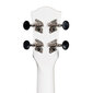 Kontsert ukulele Cascha CULC-DC hind ja info | Kitarrid | kaup24.ee