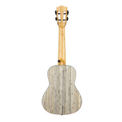 Kontsert ukulele Cascha HH 2316 hind ja info | Kitarrid | kaup24.ee