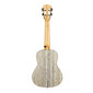 Kontsert ukulele Cascha HH 2316 hind ja info | Kitarrid | kaup24.ee