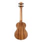 Kontsert ukulele Cascha HH 2348 hind ja info | Kitarrid | kaup24.ee