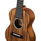 Kontsert ukulele Cascha HH 2348 hind ja info | Kitarrid | kaup24.ee