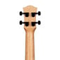 Kontsert ukulele Cascha HH 2348 hind ja info | Kitarrid | kaup24.ee