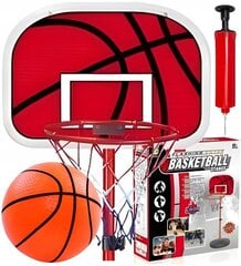 Korvpallirõngaste komplekt, 160 cm цена и информация | Баскетбольные щиты | kaup24.ee