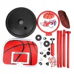 Korvpallirõngaste komplekt, 160 cm цена и информация | Баскетбольные щиты | kaup24.ee