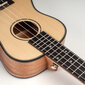 Tenor ukulele Cascha Spruce Solid Top HH 2154 hind ja info | Kitarrid | kaup24.ee