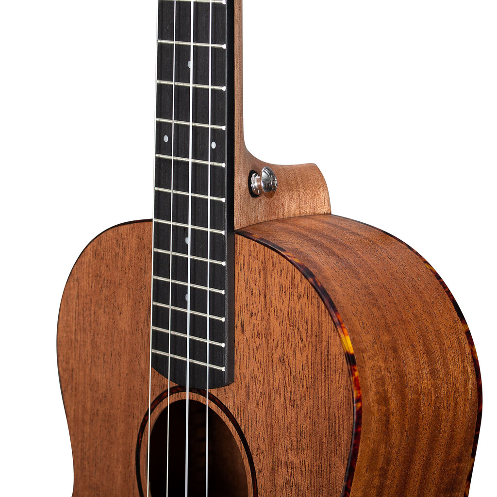 Bariton ukulele Cascha Mahogany HH 2243 цена и информация | Kitarrid | kaup24.ee