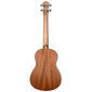 Bariton ukulele Cascha Mahogany HH 2243 цена и информация | Kitarrid | kaup24.ee