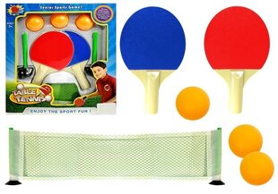 Мини-набор для настольного тенниса для детей цена и информация | Развивающие игрушки | kaup24.ee