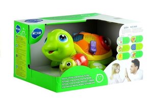 Värviline interaktiivne kilpkonn koos valgusmänguga hind ja info | Arendavad mänguasjad | kaup24.ee
