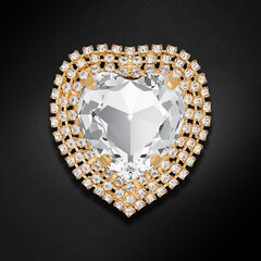 Pross naistele Diamond Sky Jewelry DS00BR186 hind ja info | Prossid | kaup24.ee