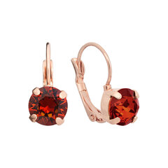 Hõbedast kõrvarõngad naistele Diamond Sky DS02A885 Swarovski kristallidega hind ja info | Kõrvarõngad | kaup24.ee