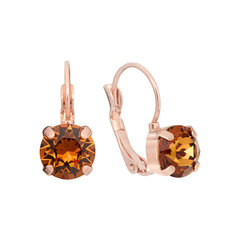 Hõbedast kõrvarõngad naistele Diamond Sky DS02A886 Swarovski kristallidega hind ja info | Kõrvarõngad | kaup24.ee