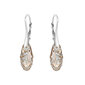Hõbedast kõrvarõngad naistele Diamond Sky DS02A905 цена и информация | Kõrvarõngad | kaup24.ee