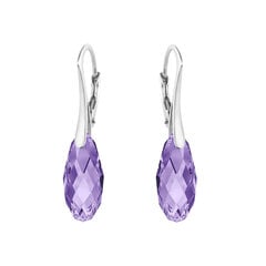 Серебряные серьги "Аншанте (Tazanite)" с кристаллами Swarovski™ DS02A907 цена и информация | Серьги | kaup24.ee