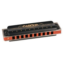 Suupill F Cascha Professional Blues Diatonic HH 2221 цена и информация | Духовые инструменты | kaup24.ee