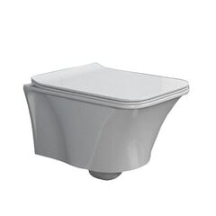 WC-pott Ibiza 122077, aeglaselt sulguva kaanega hind ja info | WС-potid | kaup24.ee