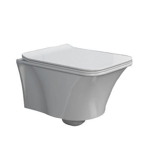 WC-pott Ibiza 122077, aeglaselt sulguva kaanega цена и информация | WС-potid | kaup24.ee