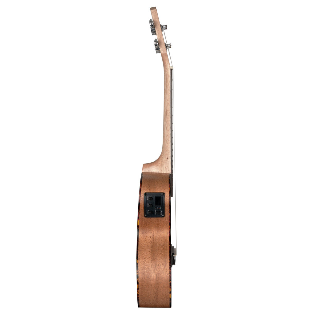 Elektroakustiline kontsert Ukulele Cascha HH 2035E hind ja info | Kitarrid | kaup24.ee