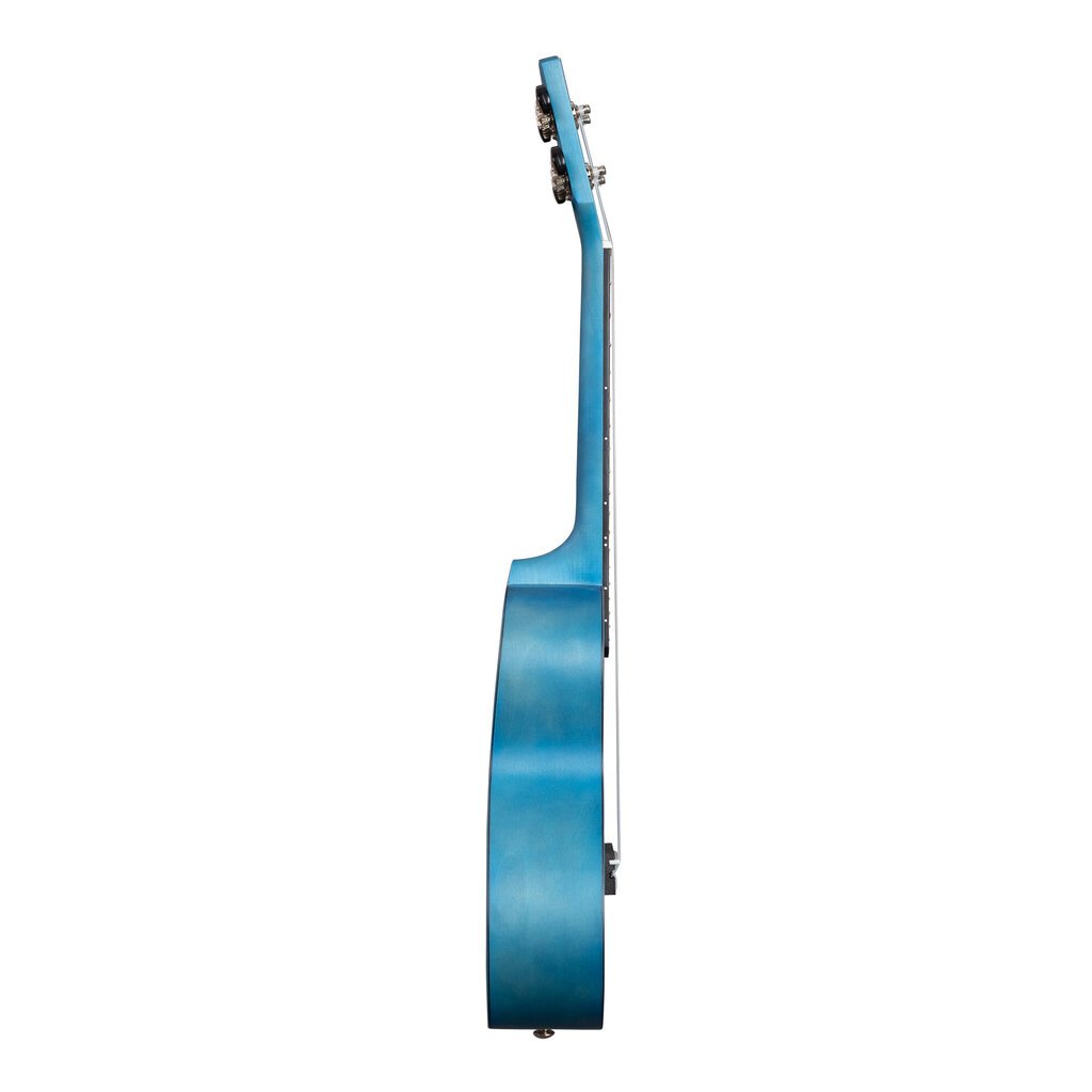 Kontsert ukulele Cascha CUC103 hind ja info | Kitarrid | kaup24.ee