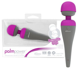Palm Power mini kehamasseerija hind ja info | Vibraatorid | kaup24.ee
