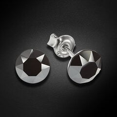Hõbedast kõrvarõngad naistele Diamond Sky DS02A913 hind ja info | Kõrvarõngad | kaup24.ee