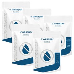 3x Одноразовый влагопоглотитель Wessper P3 Humifill - прочный картридж 150г цена и информация | Осушители воздуха, влагопоглотители | kaup24.ee