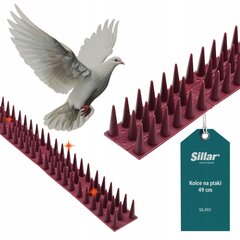 Plastikust piik lindude tõrjumiseks Sillar hind ja info | Aiatööriistad | kaup24.ee