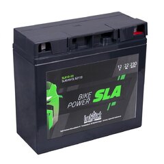 Аккумулятор Intact SLA 22 Ач 230 А 12 В цена и информация | Аккумуляторы | kaup24.ee