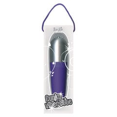 Вибратор Funky Viberette - фиолетовый цена и информация | Вибраторы | kaup24.ee
