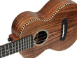 Kontsert ukulele Cascha HH 2310 hind ja info | Kitarrid | kaup24.ee