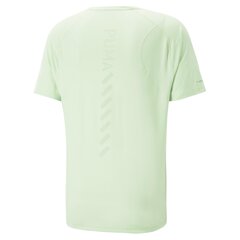 Мужская футболка Puma зеленая цена и информация | Мужские футболки | kaup24.ee