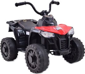 Ühekohaline elektriline ATV lastele Super-Toys hind ja info | Laste elektriautod | kaup24.ee