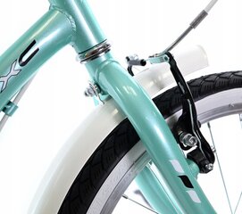 Детский велосипед Midex 20', зеленый цена и информация | Велосипеды | kaup24.ee