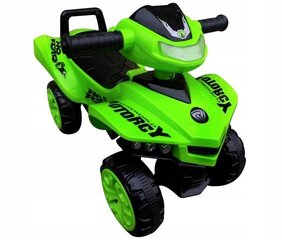 R-sport J5 tõukeauto, roheline hind ja info | Imikute mänguasjad | kaup24.ee