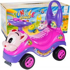 Tõukeauto Rider, roosa hind ja info | Imikute mänguasjad | kaup24.ee