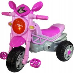Käru Fluxar, roosa hind ja info | Imikute mänguasjad | kaup24.ee