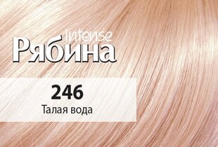 Kreemjas juuksevärv Acme Color Rebina Intense No. 246 jäävesi hind ja info | Juuksevärvid | kaup24.ee