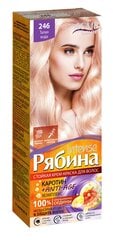 Kreemjas juuksevärv Acme Color Rebina Intense No. 246 jäävesi цена и информация | Краска для волос | kaup24.ee