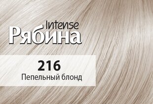 Kreemjas juuksevärv Acme Color Rebina Intense No. 216 tuhkblond hind ja info | Juuksevärvid | kaup24.ee