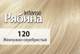 Kreemjas juuksevärv Acme Color Rebina Intense No. 120 pärl hõbe цена и информация | Краска для волос | kaup24.ee