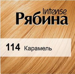 Kreemjas juuksevärv Acme Color Rebina Intense No. 114 karamell hind ja info | Juuksevärvid | kaup24.ee