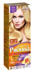 Kreemjas juuksevärv Acme Color Rebina Intense No. 111 märg liiv hind ja info | Juuksevärvid | kaup24.ee