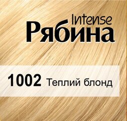 Kreemjas juuksevärv Acme Color Rebina Intense No. 1002 soe blond hind ja info | Juuksevärvid | kaup24.ee