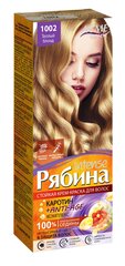 Kreemjas juuksevärv Acme Color Rebina Intense No. 1002 soe blond цена и информация | Краска для волос | kaup24.ee