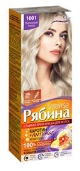 Kreemjas juuksevärv Acme Color Rebina Intense No. 1001 plaatina blond цена и информация | Краска для волос | kaup24.ee