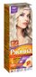 Kreemjas juuksevärv Acme Color Rebina Intense No. 1001 plaatina blond hind ja info | Juuksevärvid | kaup24.ee