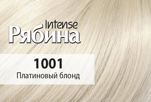 Kreemjas juuksevärv Acme Color Rebina Intense No. 1001 plaatina blond hind ja info | Juuksevärvid | kaup24.ee
