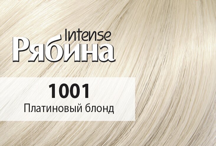 Kreemjas juuksevärv Acme Color Rebina Intense No. 1001 plaatina blond цена и информация | Juuksevärvid | kaup24.ee