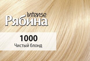 Kreemjas juuksevärv Acme Color Rebina Intense No. 1000 puhas blond hind ja info | Juuksevärvid | kaup24.ee